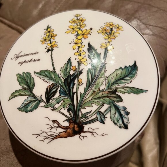 Villeroy & Boch Botanica Agrimonia Eupatoria Round Covered Trinket Box - Picture 1 of 5